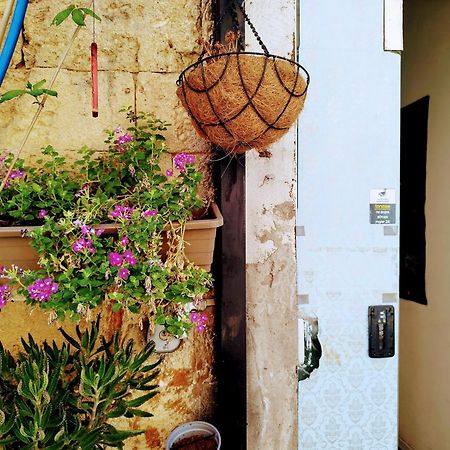 Polihosts Old Jaffa Vandrarhem Tel Aviv Exteriör bild