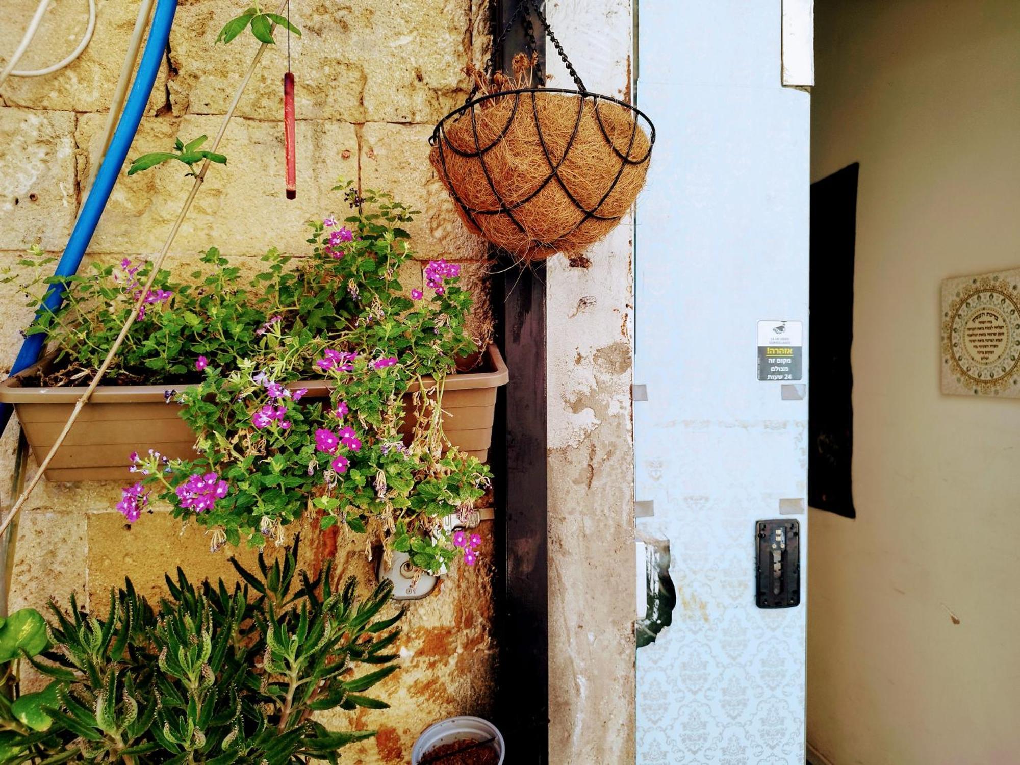 Polihosts Old Jaffa Vandrarhem Tel Aviv Exteriör bild